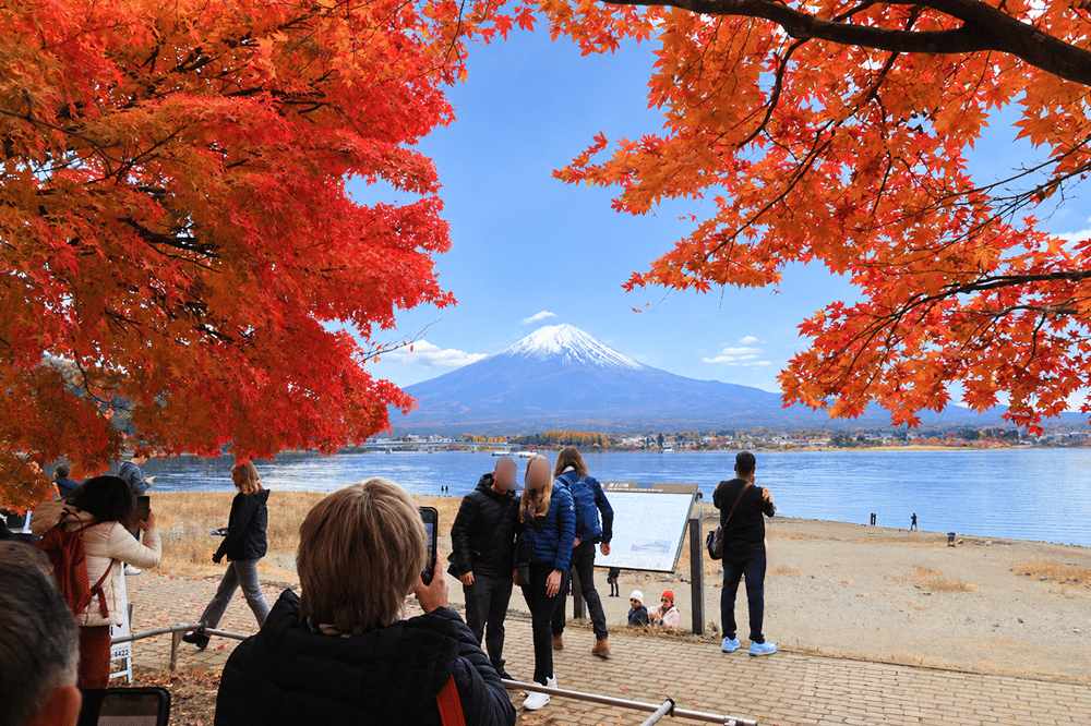 富士山・河口湖・富士五湖周辺紅葉情報!ここでしか見られない絶景スポット!