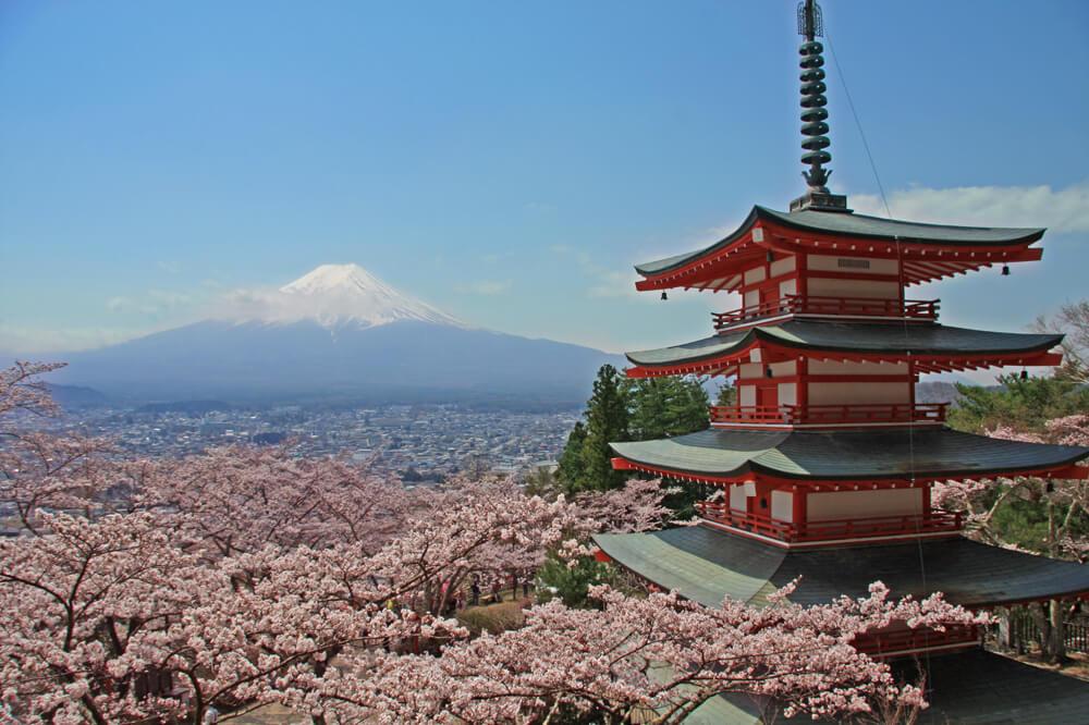 首都圏から日帰りでもOK！富士山・河口湖周辺春の絶景桜お花見スポット特集！