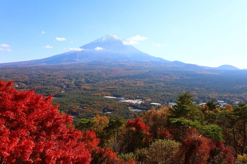富士山の麓で秋を満喫！おすすめ観光スポット！