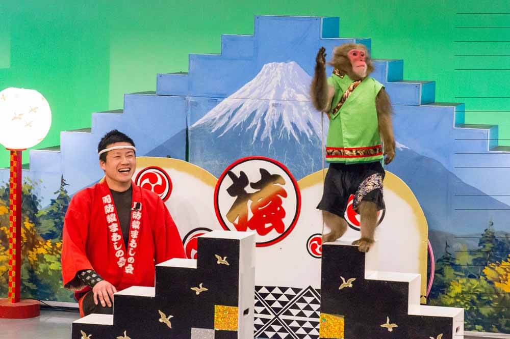 子供と一緒に河口湖周辺を楽しく観光 おすすめスポットや遊び場 観光 イベント Fuji Cango 地元スタッフが教える富士山 河口湖 富士五湖観光 ガイド