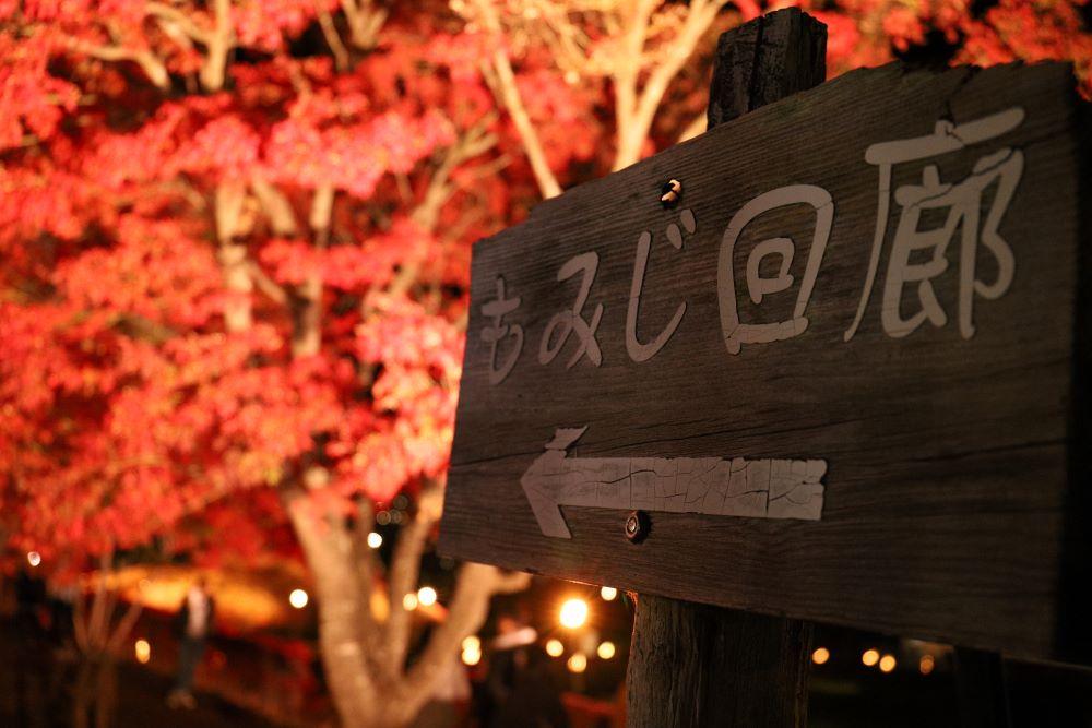 富士河口湖紅葉まつり開催！紅葉に彩られる河口湖を楽しもう