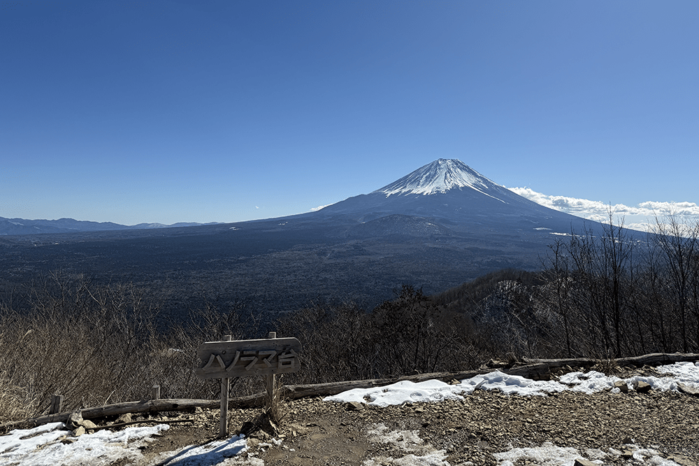 精進湖パノラマ台 – 富士山の絶景ハイキングコース
