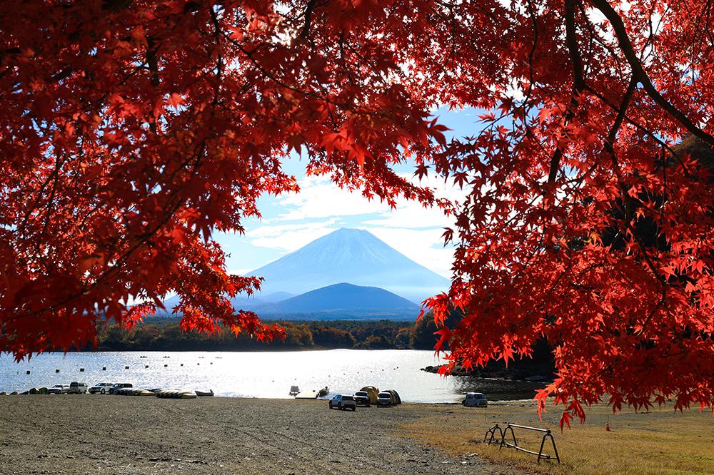 富士山で秋キャンプするならどこ?目的別おすすめキャンプ場と持ち物・服装を紹介