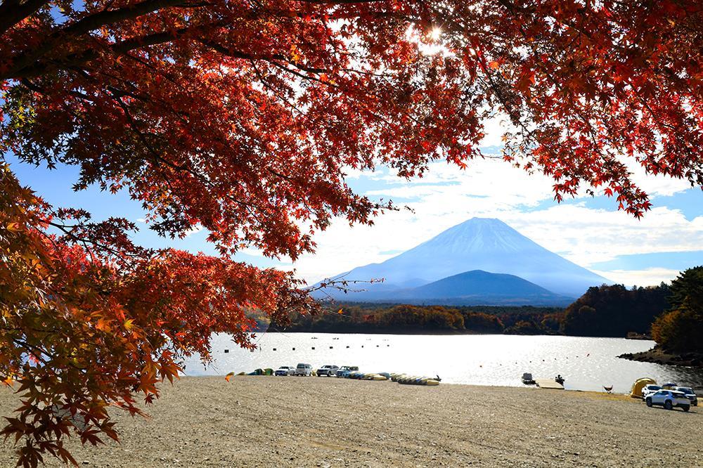 本栖湖の紅葉を満喫｜西湖・精進湖も巡る3湖紅葉ガイド